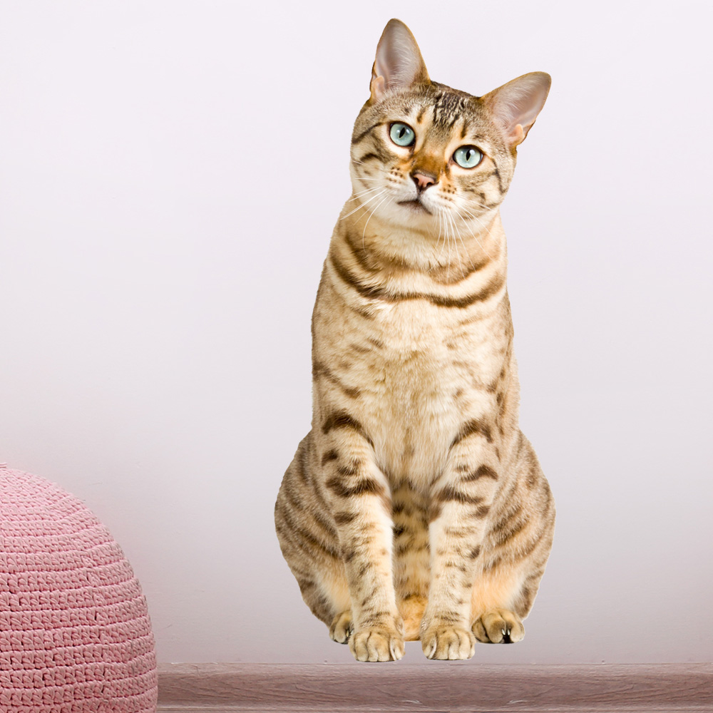 muursticker kat poes bengaalse kinderkamer meisjeskamer lief schattig