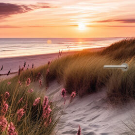 deurposter deursticker sticker poster strand zonsondergang natuur