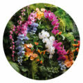 muurcirkel muursticker bloemen orchideeen moswand goedkoop inspiratie muurcirkel muursticker bloemen orchideeen moswand goedkoop inspiratie