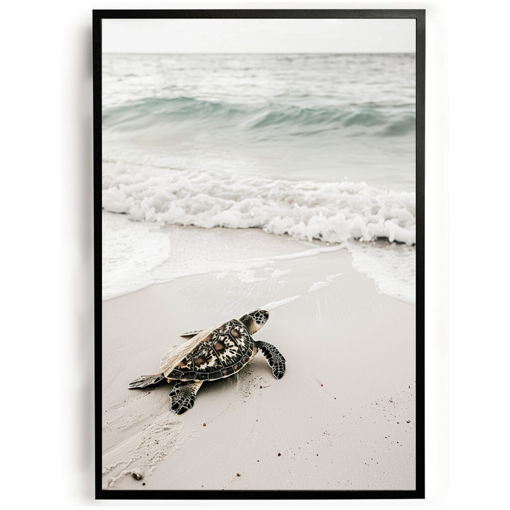 Poster strand schildpad op weg naar de zee woonkamer slaapkamer keuken kantoor atelier rustgevend natuur
