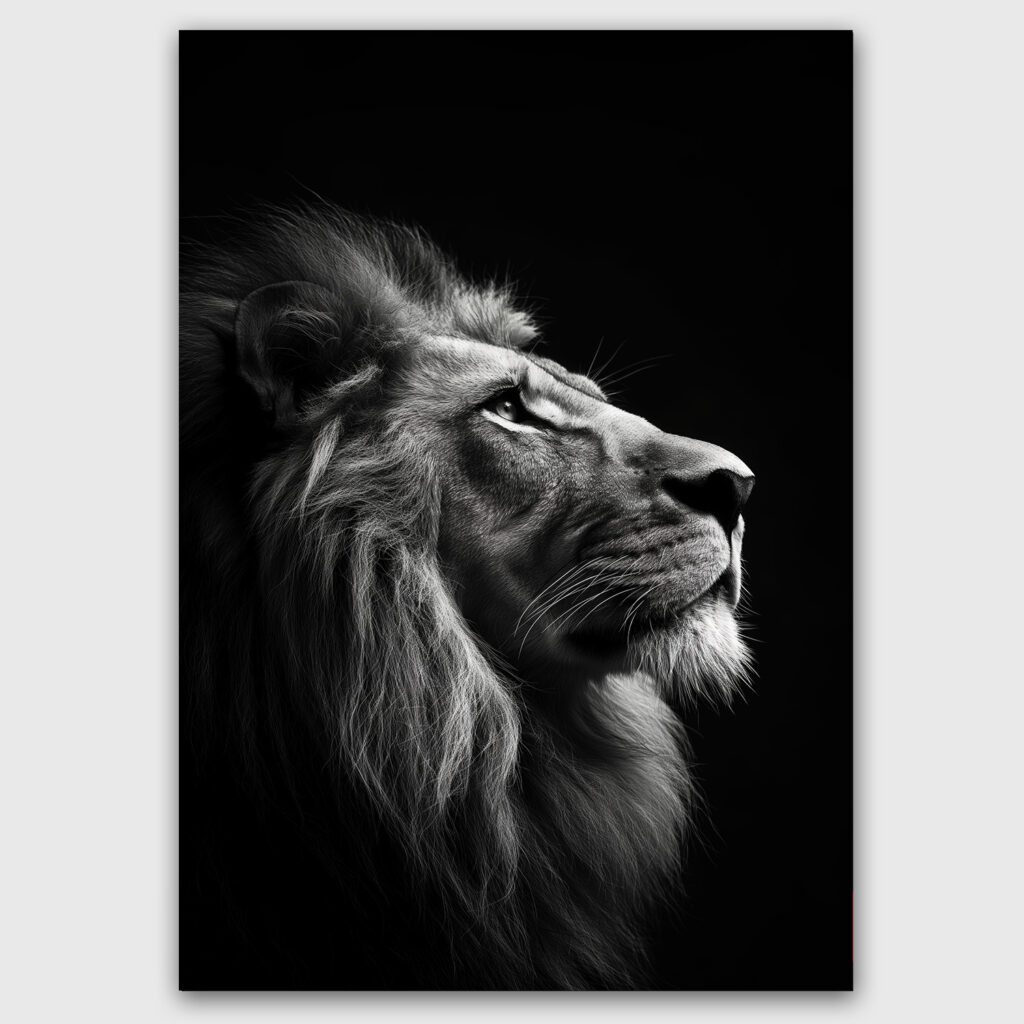 leeuw zwart wit stijlvol woonkamer slaapkamer keuken kantoor creatief