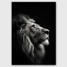 leeuw zwart wit stijlvol woonkamer slaapkamer keuken kantoor creatief