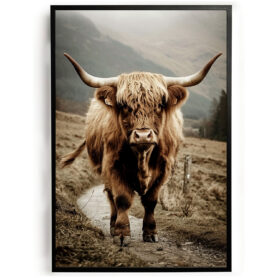 Poster schotse hooglander bergpad woonkamer slaapkamer kantoor inspiratie