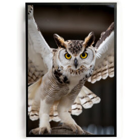 Poster uil maakt zich klaar voor vlucht woonkamer slaapkamer kantoor inspiratie