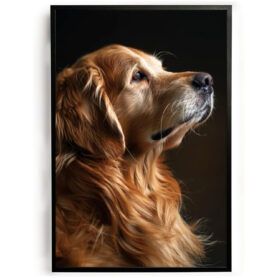 dieren poster golden retriever zwart wit goedkoop ideeen muurdecoratie inspiratie wanddecoratie store woonkamer keuken slaapkamer2