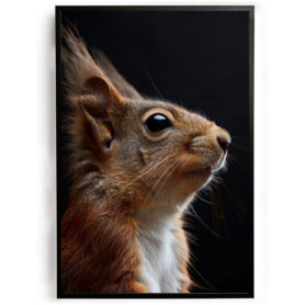 poster van een eekhoorn poster goedkoop ideeen muurdecoratie inspiratie wanddecoratie store woonkamer keuken slaapkamer