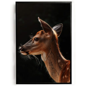 poster van een hert welp baby schattig woonkamer kinderkamer poster goedkoop ideeen muurdecoratie inspiratie wanddecoratie store woonkamer keuken slaapkamer