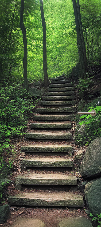 deursticker hoofd foto Deursticker / poster stenen trap in het bos natuur inspiratie woonkamer slaapkamer kantoor