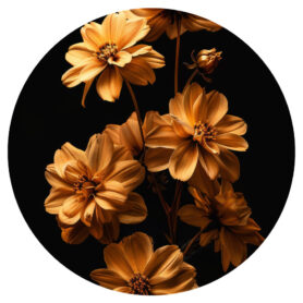 muurcirkel boeket van oranje bloemen natuur flora fauna inspiratie woonkamer slaapkamer badkamer kantoor