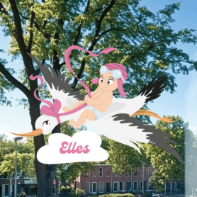 Geboortesticker jongen of meisje met ooievaar