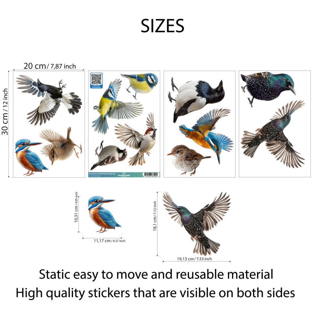 vogelsetnederlandsoloconceptgrootteV2productfoto